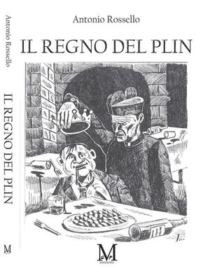 cover image of Il regno del Plin